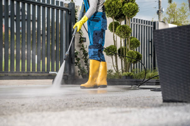 Best Roof Pressure Washing  in Buena Park, CA