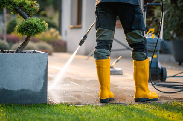 Best Affordable Pressure Washing  in Buena Park, CA